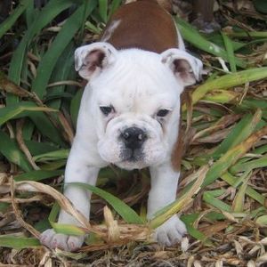 Meet your Posher, Todd